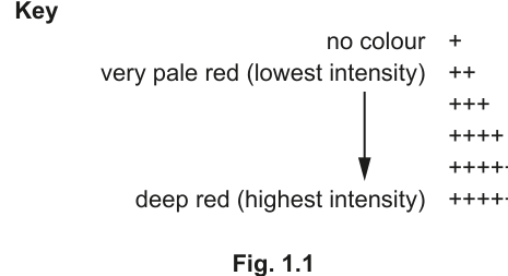 Fig. 1.1
