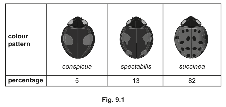 Fig. 9.1