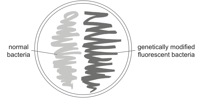 Fig. 4.2