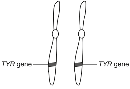 Fig. 6.1