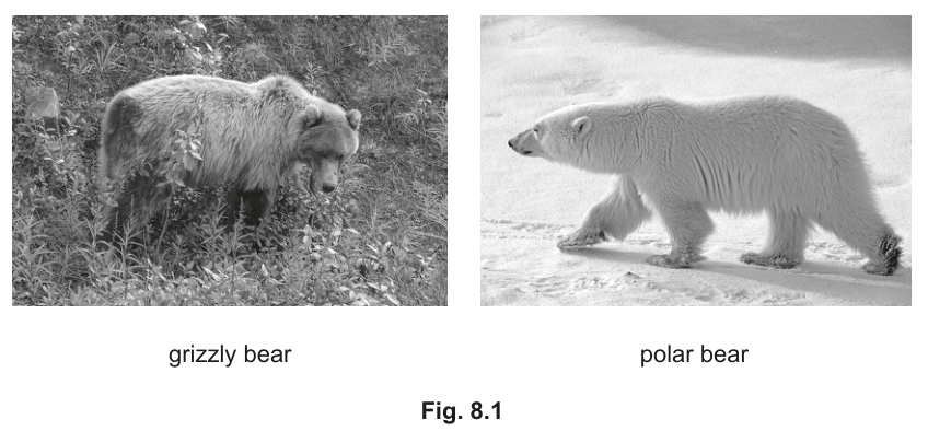 Fig. 8.1
