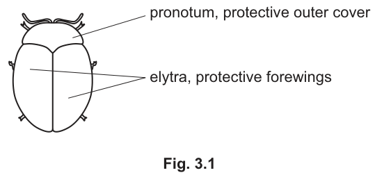 Fig. 3.1