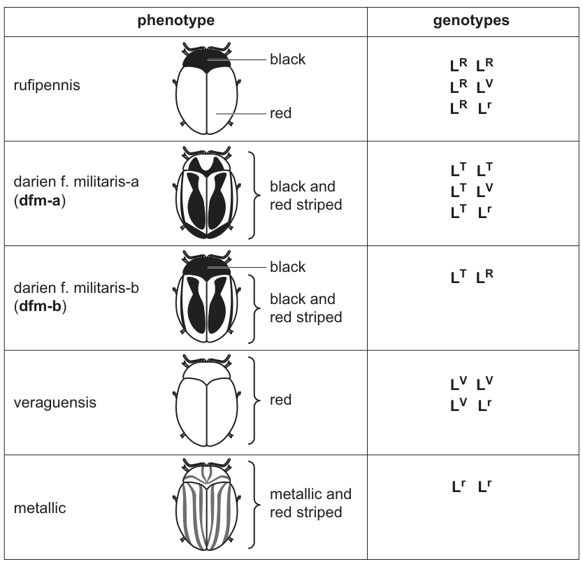 Table 3.1