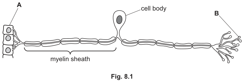 Fig. 8.1