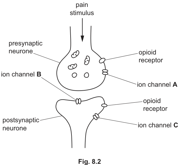 Fig. 8.2