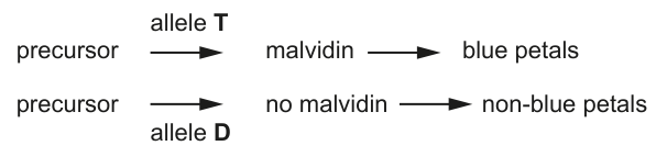 Fig. 3.1