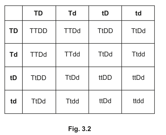 Fig. 3.2