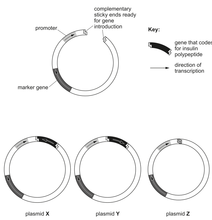 Fig. 4.1