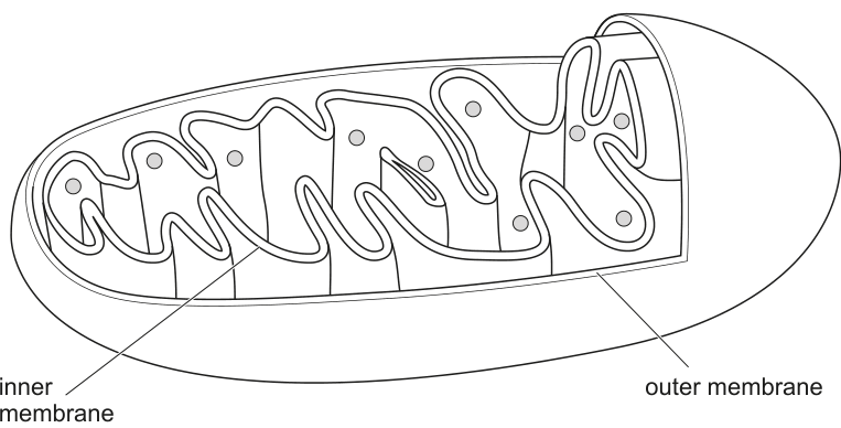 Fig. 8.1