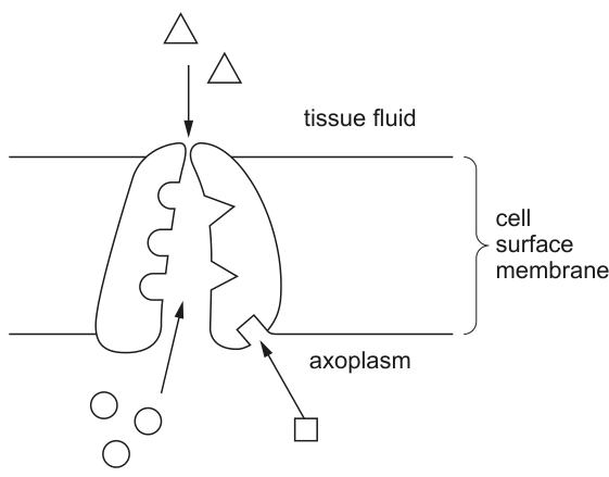 Fig. 10.1
