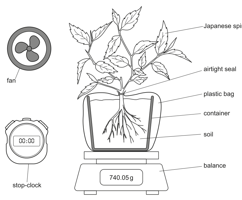 Fig. 1.1