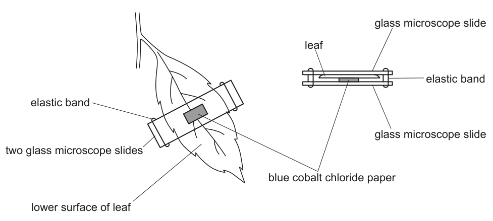 Fig. 1.2