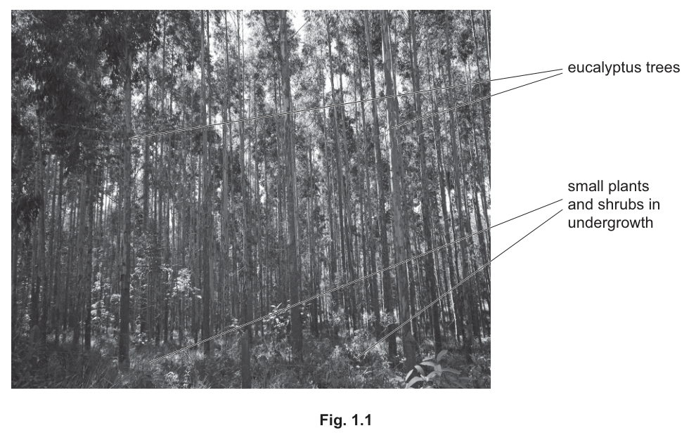 Fig. 1.1
