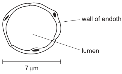 Fig. 1.1