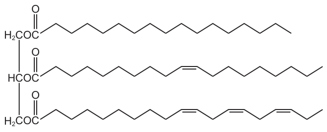 Triglyceride