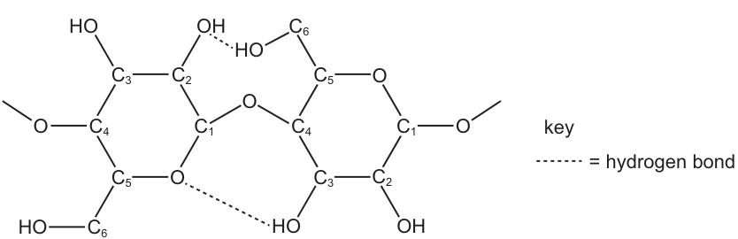Cellulose Structure