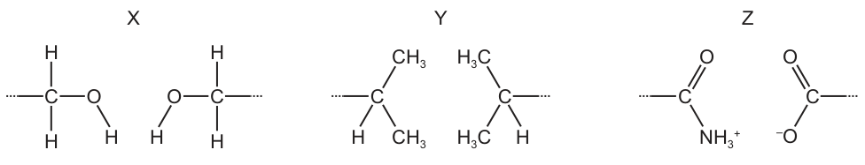 Amino Acid Pairs