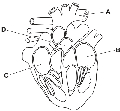 Fig. 29.1