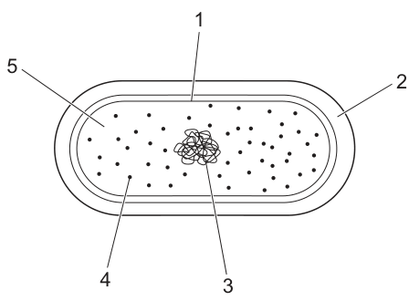 Fig. 5.1