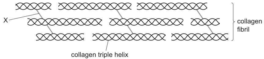 Fig. 6.1