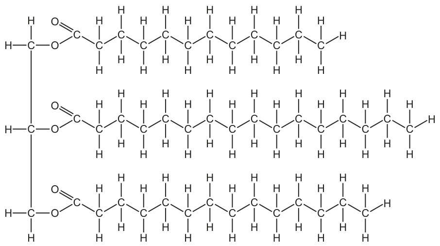 Fig. 9.1