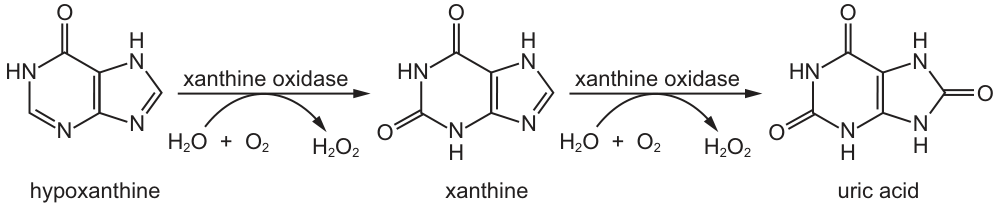 Fig. 13.1