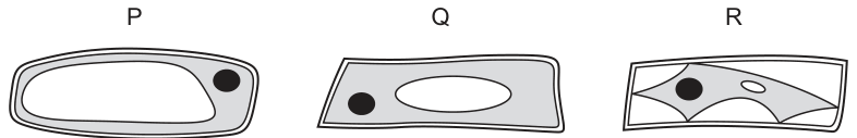 Fig. 16.1