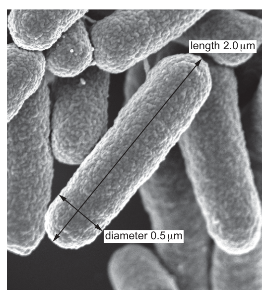 Fig. 17.1