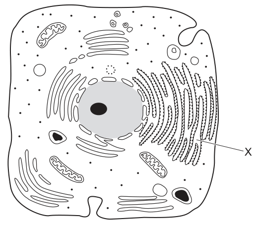 Fig. 4.1