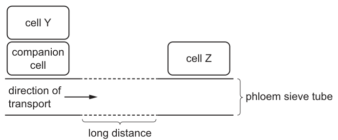 Fig. 28.1