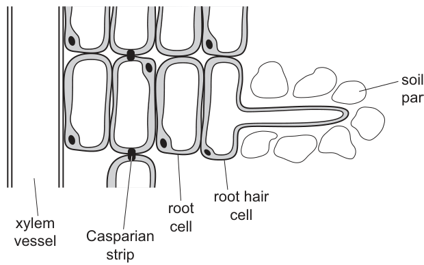 Fig. 29.1