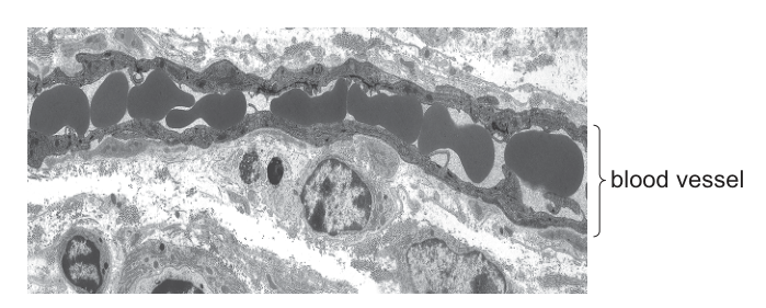 Fig. 32.1