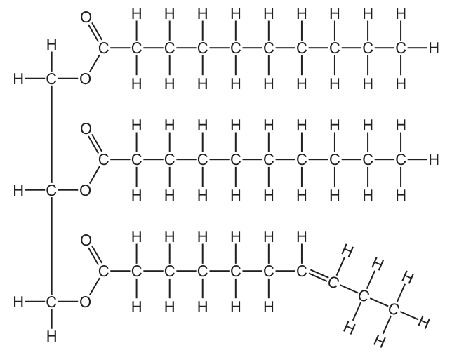 Fig. 6.1