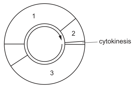 Fig. 20.1