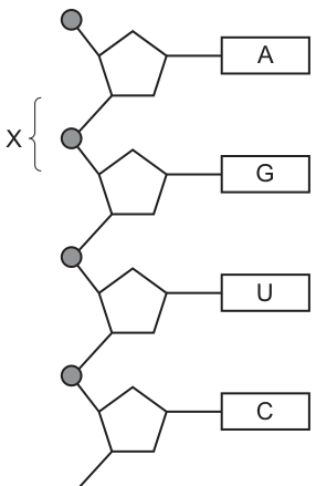 Fig. 21.1