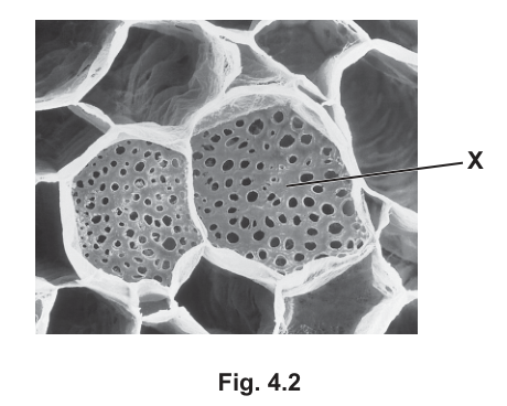 Fig. 4.2