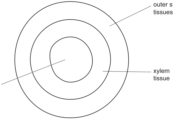 Fig. 4.3