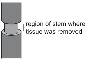 Fig. 4.4