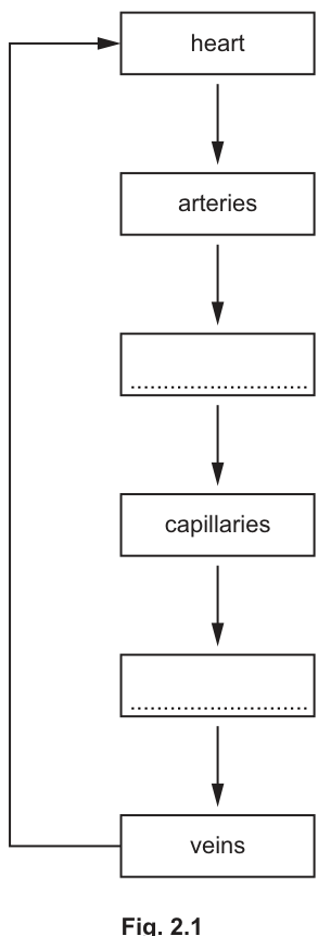 Fig. 2.1