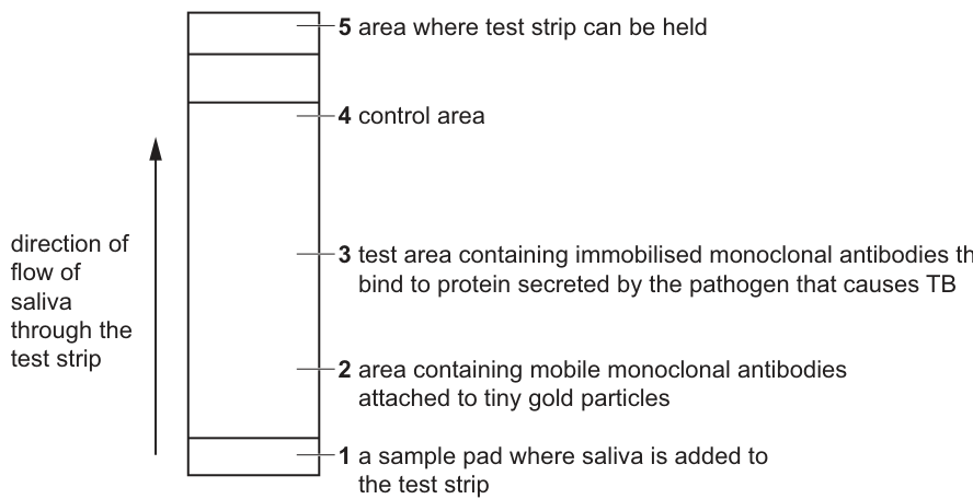 Fig. 3.2