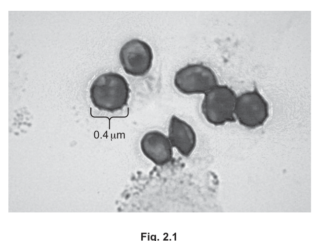 Fig. 2.1