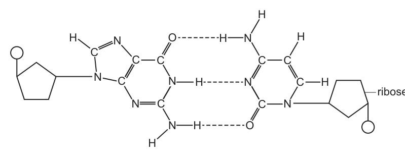 Fig. 3.1