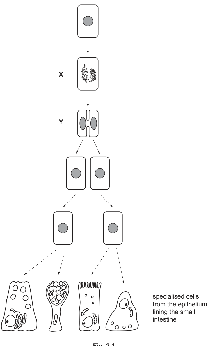 Fig. 2.1