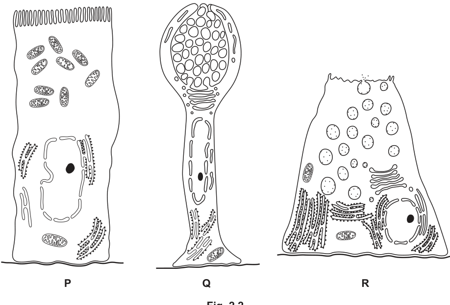 Fig. 2.2