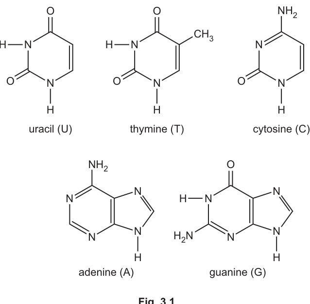 Fig. 3.1