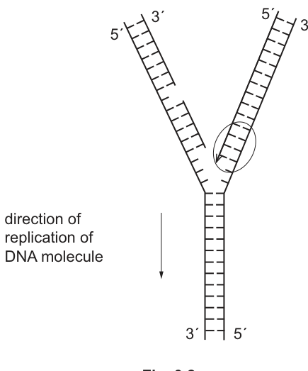 Fig. 3.2