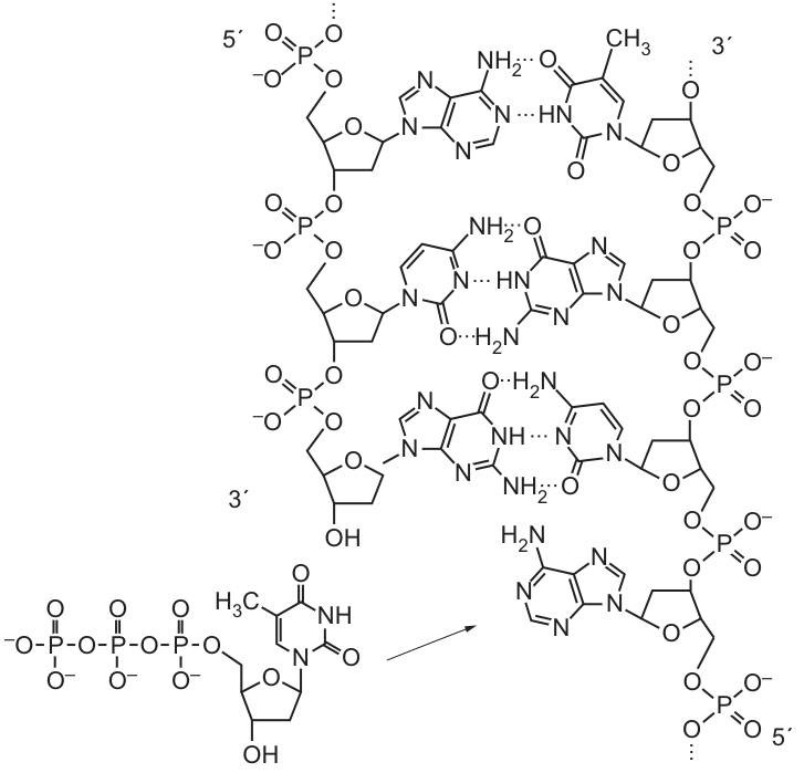 Fig. 3.3