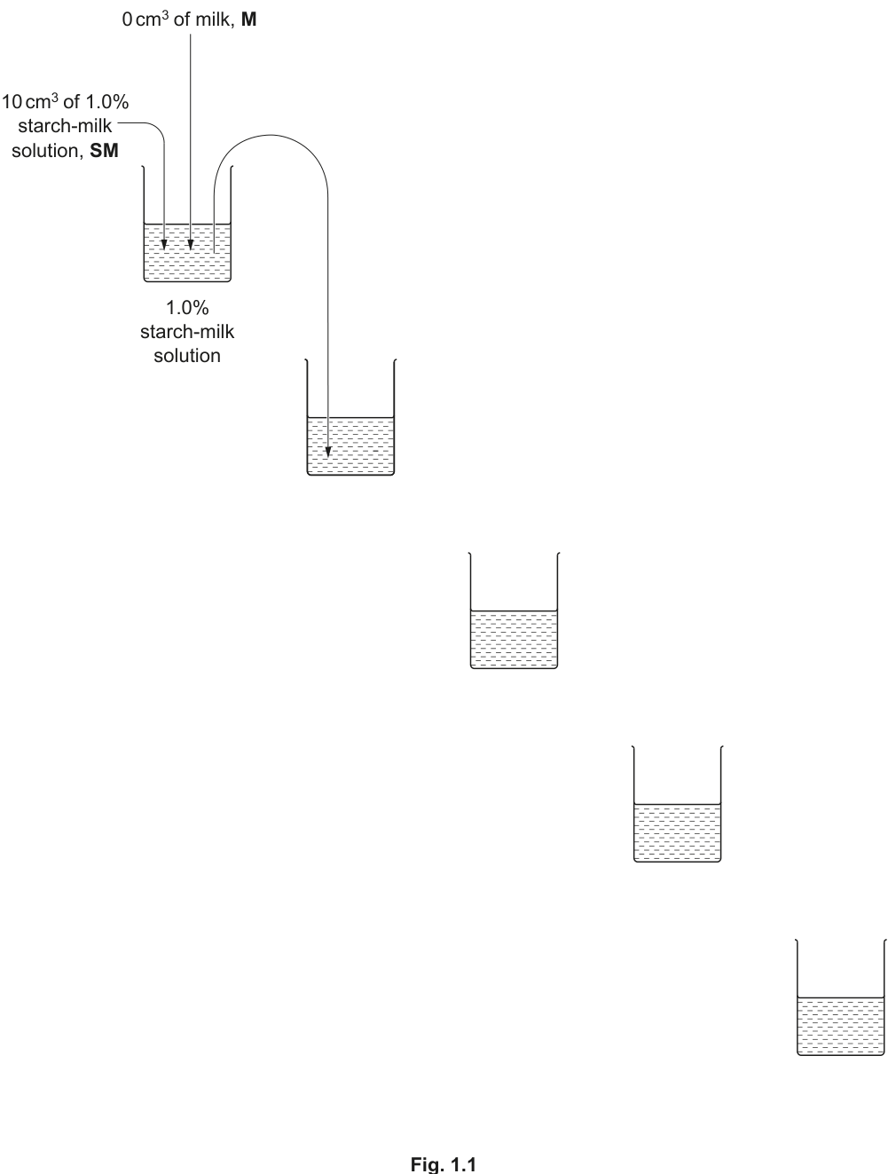 Fig. 1.1