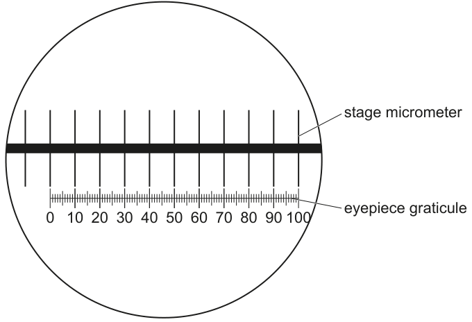 Fig. 2.3