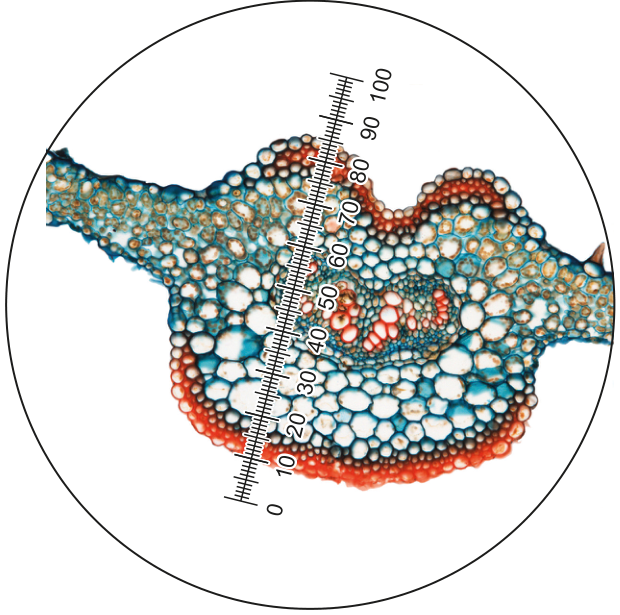 Fig. 2.4